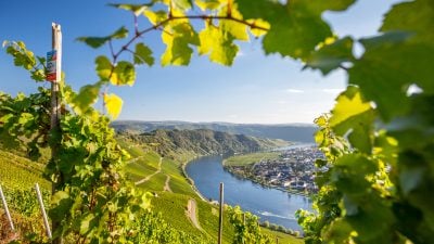 Mosel Panorama