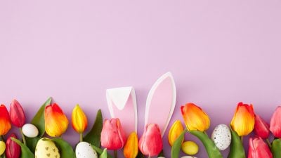 Ostern-Hase