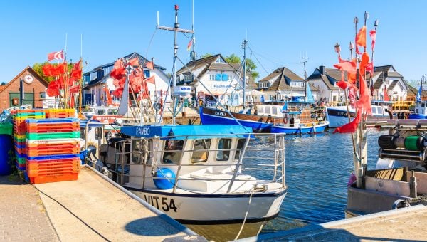 Vitte Hafen