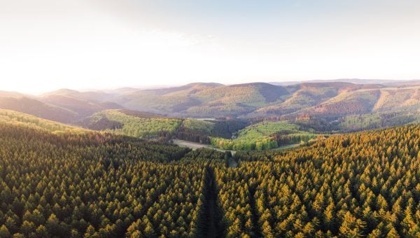 Sauerland